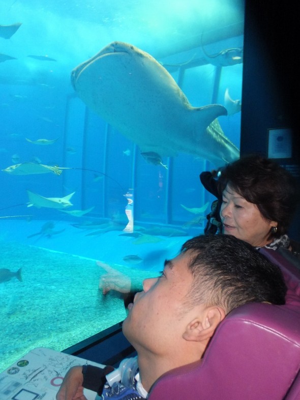 平成２５年１１月３０日ファミリーピクニック（美ら海水族館）DSCF6574 (45)