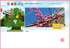 沖縄肢体不自由児協会(法人全体)